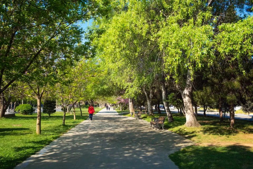 Paved walkway with a few people in lush green city park with large trees and benches.